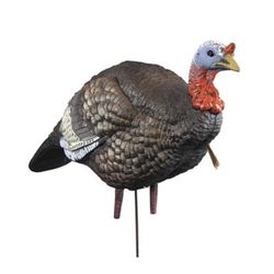 Higdon Outdoors Assorted Plastic Hen Turkey Decoy 27.5 in.