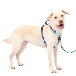 PetSafe Easy Walk Blue Fabric Dog Harness Large
