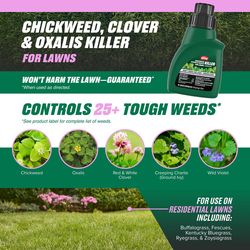 Ortho Chickweed, Clover & Oxalis Killer Concentrate 16 fl. oz.