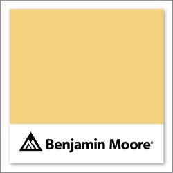 Benjamin Moore Broadway Lights 298