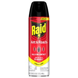 Raid Insect Killer Aerosol 17.5 oz