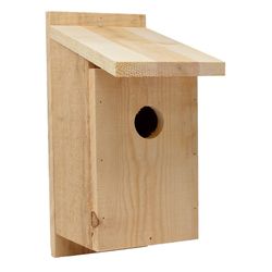 Songbird Essentials 12 in. H Cedar Bird House