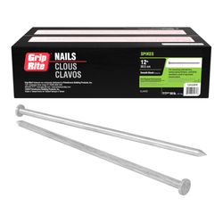 Grip-Rite 12 in. Spike Hot-Dipped Galvanized Steel Nail Flat Head 50 lb