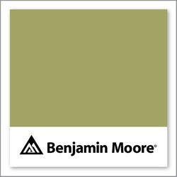 Benjamin Moore Medieval Times 530