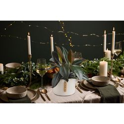 LiveTrends Foliage House Plant