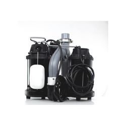 Wayne 1/2 HP 5,100 gph Cast Iron Vertical Float Switch AC Sump Pump 8 ft.