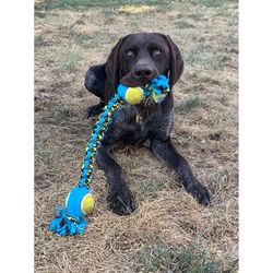Boss Pet Pet Park Blvd For Dog Yellow Woven Paracord Rope with Tennis Ball Dog Toy 1 pk