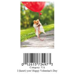 Avanti Press Greeting Cards