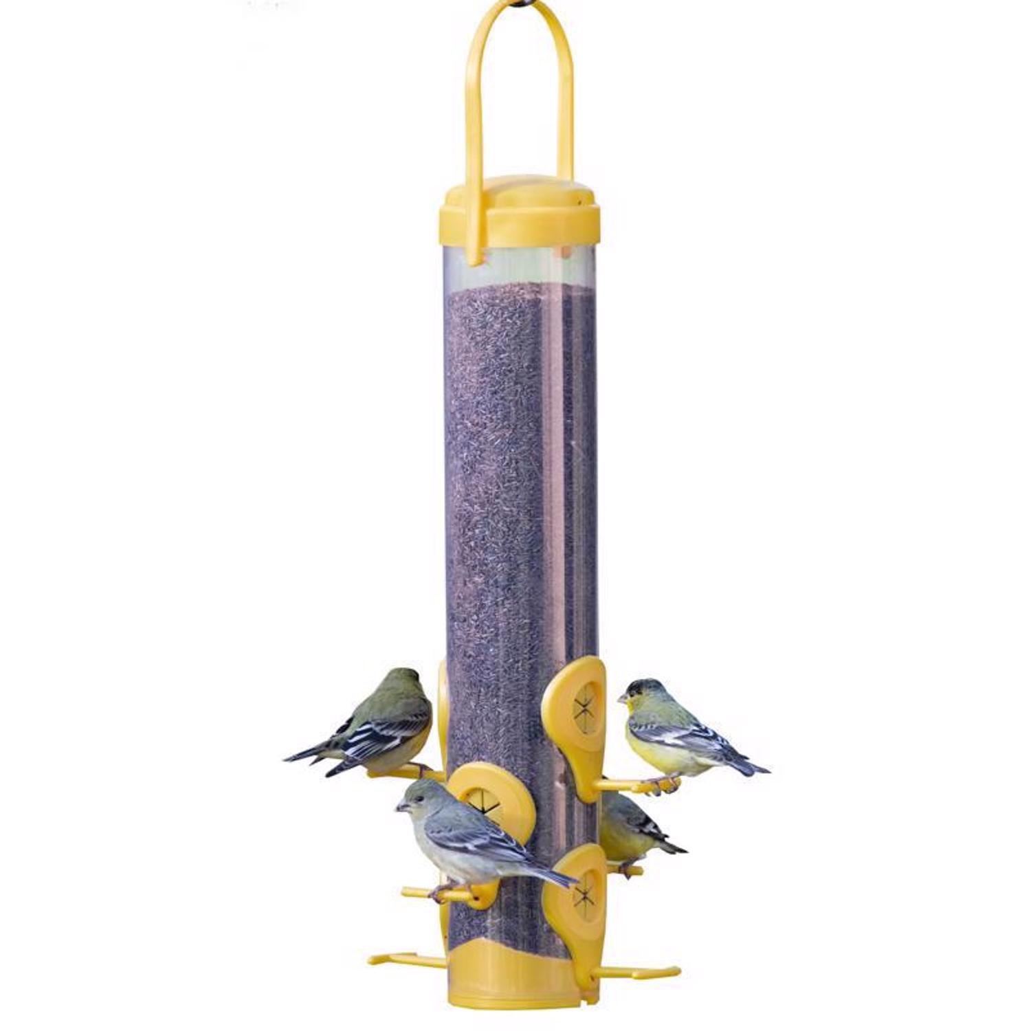image-3