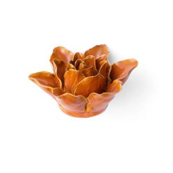 Chive France 2 in. H X 4.25 in. L Glazed Rust Ceramic Lily Wall Flower