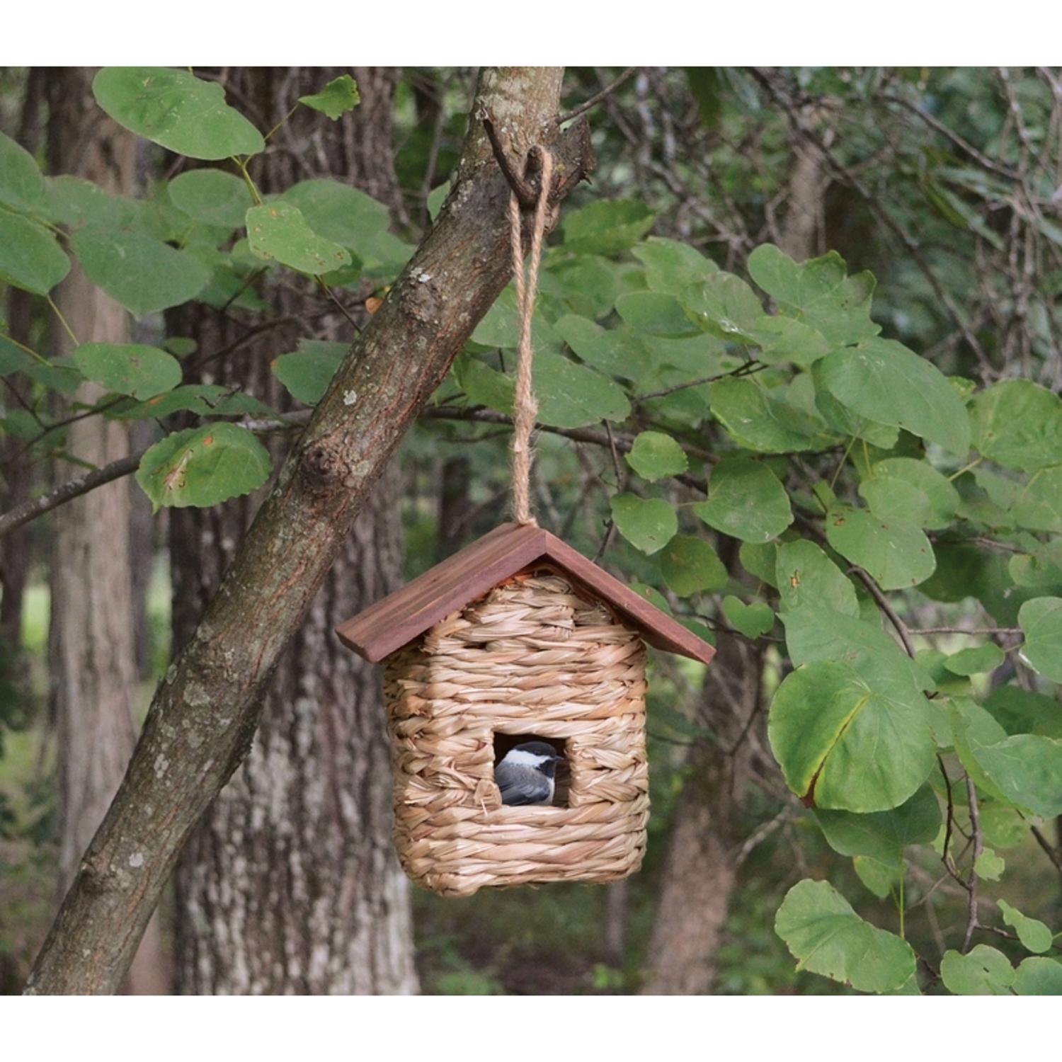 image-2