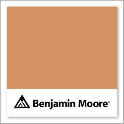 Benjamin Moore Rio Rancho Clay 111