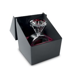 Kilo Clear/Silver Plastic/Stainless Steel Wine Drip Collar