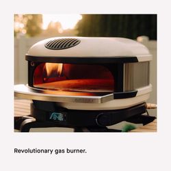 Gozney Arc Liquid Propane Outdoor Pizza Oven Bone