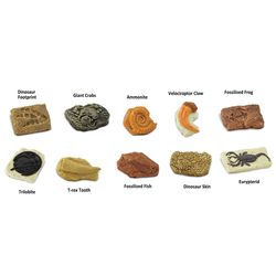 Safari Ltd. Toobs Ancient Fossils Toy 10 pc