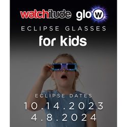 Watchitude Assorted Eclipse Glasses 1 pk Color May Vary