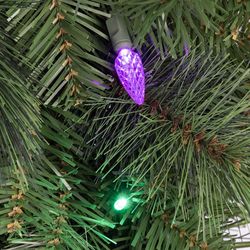 Celebrations Platinum 26 in. D LED Prelit Multicolored Mixed Pine Wreath