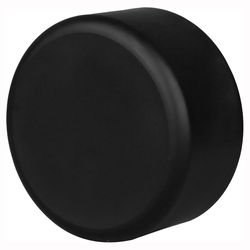 Charlotte Pipe 4 in. Hub X 4 in. D ABS Cap