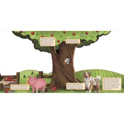 Discovering The Busy Life on the Farm Board Book
