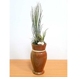 Eve's Garden 18 in. H X 4 in. D Ceramic Woodgrain Air Plant and Succulent Brown