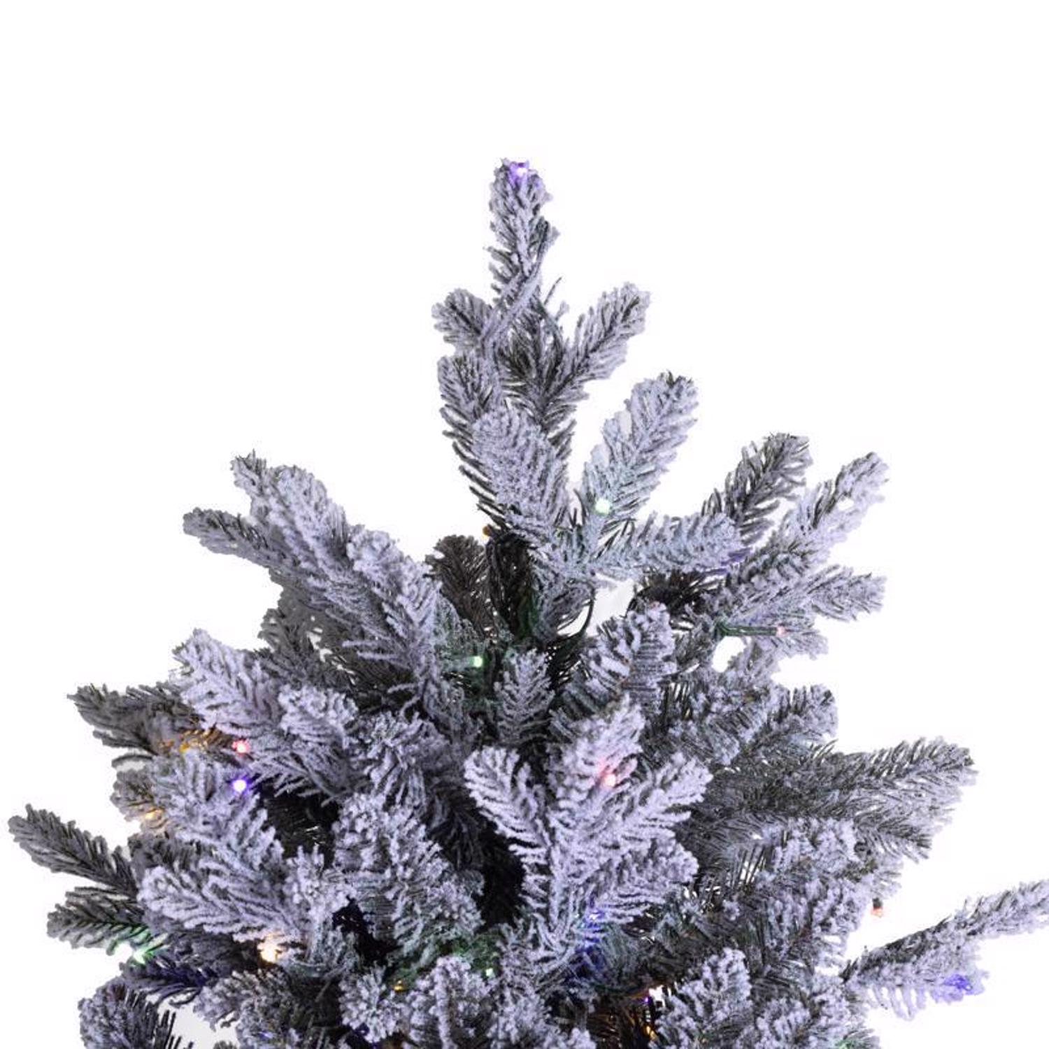 image-3