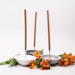 Murphy's Naturals Insect Repellent Incense Holder For Mosquitoes 1 each