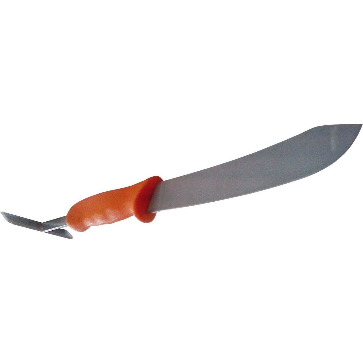image-1