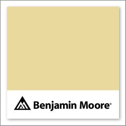 Benjamin Moore Valley View 214