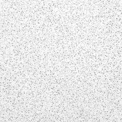USG Ceilings Radar Basic Firecode Non-Directional 24 in. L X 24 in. W 0.63 in. Square Edge Ceiling T