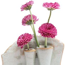 Chive Lotus 4 in. H X 5 in. L Glazed Green Ceramic Floral Bud 2-Tube Vase