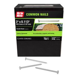 Grip-Rite 6D 2 in. Common Hot-Dipped Galvanized Steel Nail Flat Head 5 lb