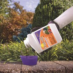 Bonide Fung-onil Concentrated Liquid Fungicide 16 oz