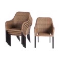 Living Accents Brown Steel Frame Dining Chair