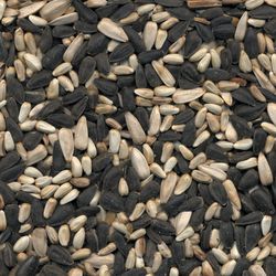 Kaytee Wild Bird Food 15 lb