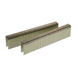 Senco 7/16 in. W X 1 in. L Galvanized Steel Wire Staples 16 Ga.