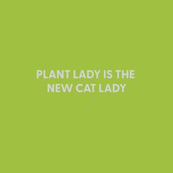 Chive Plant Lady is the New Cat Lady Blank Greeting Card