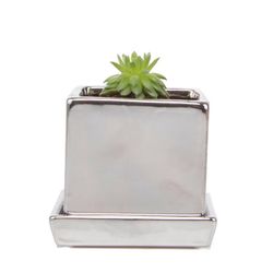 Chive Cube and Saucer 3 in. D Ceramic Succulent Pot Silver