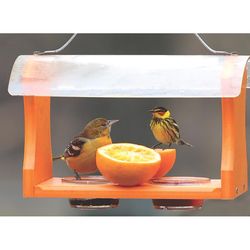 Birds Choice Oriole 2 cups Plastic Bird Feeder