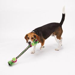 Boss Pet Pet Park Blvd For Dog Green Woven Paracord Rope with Tennis Ball Dog Toy 1 pk
