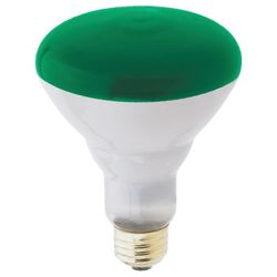 Westinghouse 75 W BR30 Reflector Incandescent Bulb E26 (Medium) Green 1 pk
