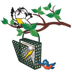 C&S Products Orange Delight Wild Bird Food 11.75 oz