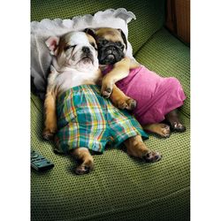 Avanti Seasonal Puppy Love Valentine's Day Card Paper 2 pc