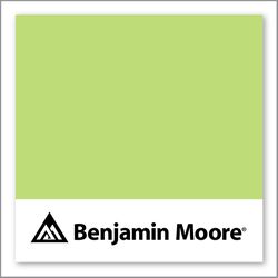 Benjamin Moore Feel The Energy 417