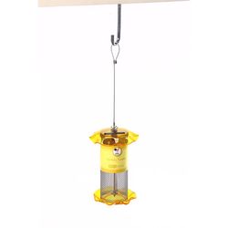 Birds Choice Forever Finch 1 qt Plastic Magnet Mesh Tube Bird Feeder