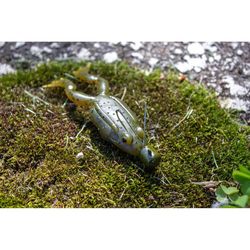 Lunkerhunt Fishing Lure 1 in.