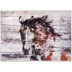 Olivia's Home 22 in. W X 32 in. L Multi-Color Canyon Mustang Polyester Accent Rug