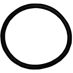 Bissell Vacuum Belt For BigGreen-BG100 BG101H and BG102 1 pk