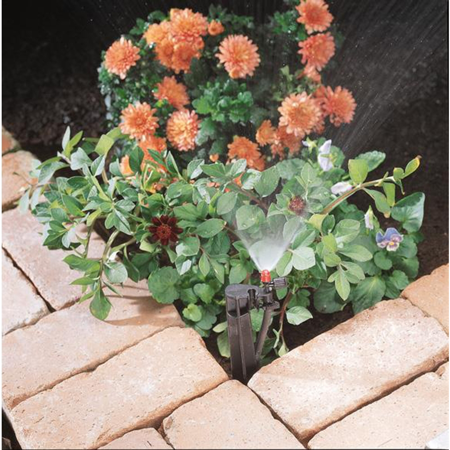 image-3