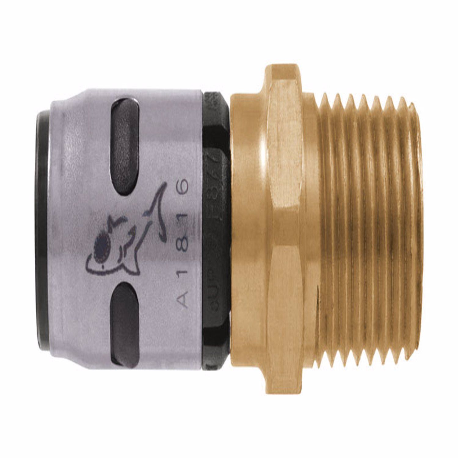 image-1