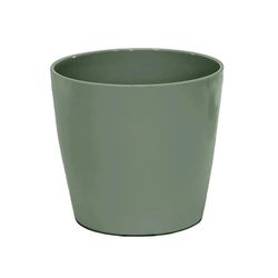 Bamboo Blooms 6.3 in. H X 7 in. D Bamboo Flower Pot Light Green